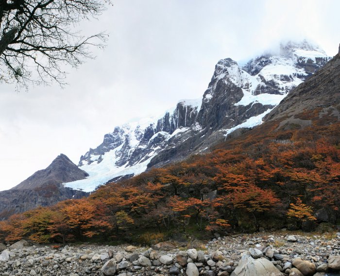 Chili Patagonie Torres del Paine Glacier Vallée del Francés Ekla